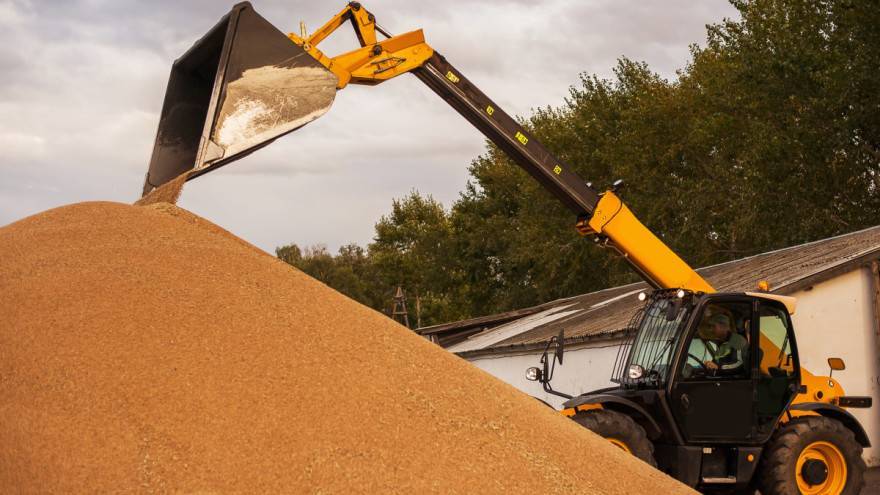 SB Online | Očekuju se veće zalihe žitarica - pšenica se troši više nego kukuruz?