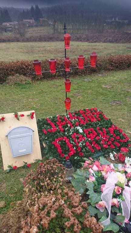 Voljela je cvijeće i zvala se Jasna. Pisma za Jasnu Lovaković