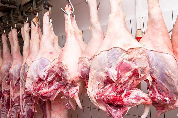 SB Online | Rastu cijene svinja i svinjetine u EU - posebno jedna kategorija mesa