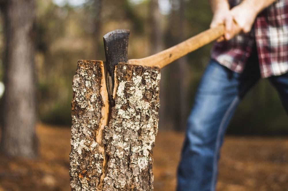 SB Online | Ništa od najjeftinijeg načina grijanja-poskupjet će i drva