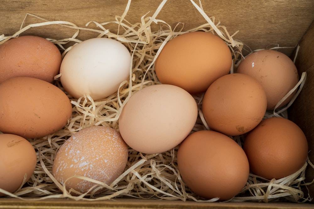 SB Online | Cijena jaja raste pred Uskrs - sve je manje onih iz slobodnog uzgoja