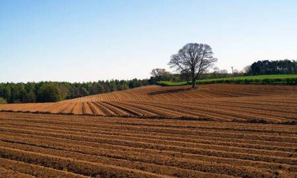SB Online | Izglasan Zakon o poljoprivrednom zemljištu