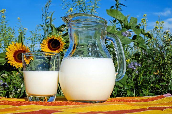 SB Online | Hoće li se proizvodnja mlijeka u Hrvatskoj ugasiti?