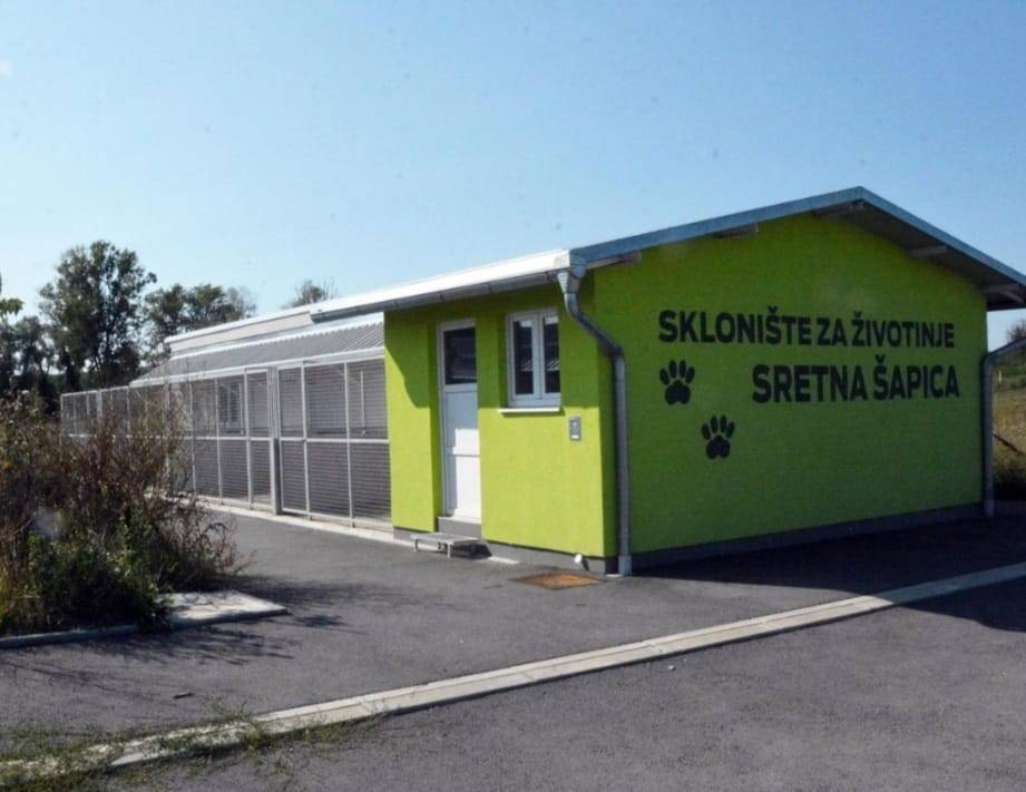 SB Online | Što se to događa u ʺSretnoj šapiciʺ, skloništu za životinje u Slavonskom Brodu?
