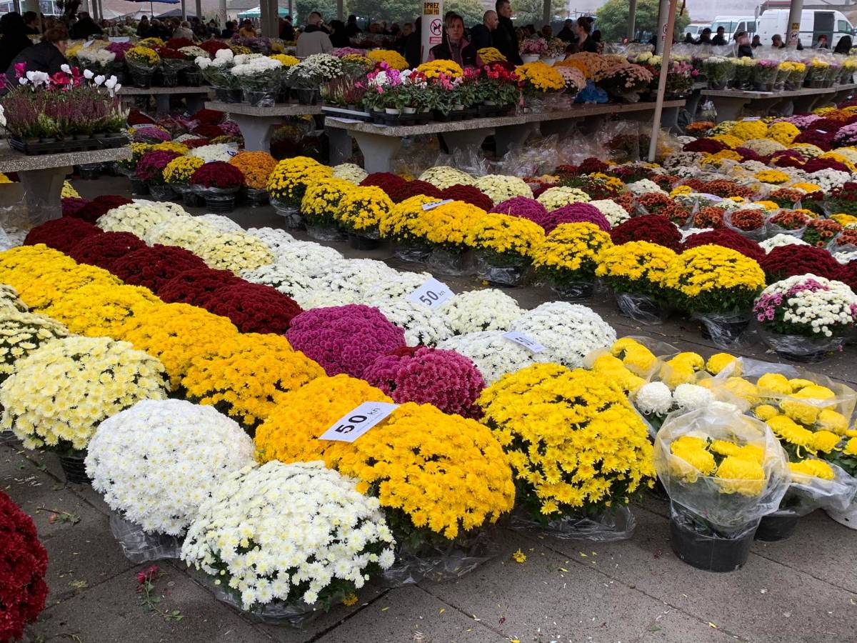 PROVJERILI SMO KAKVE SU CIJENE: Kod nje su iste!