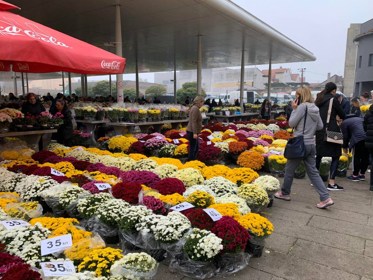 PROVJERILI SMO KAKVE SU CIJENE: Kod nje su iste!