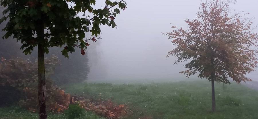 SB Online | Danas magla, od sredine dana moguća sunčana razdoblja
