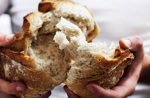 SB Online | Ne trebate mijesiti tijesto: Najlakši recept za fini kruh od samo 4 sastojka