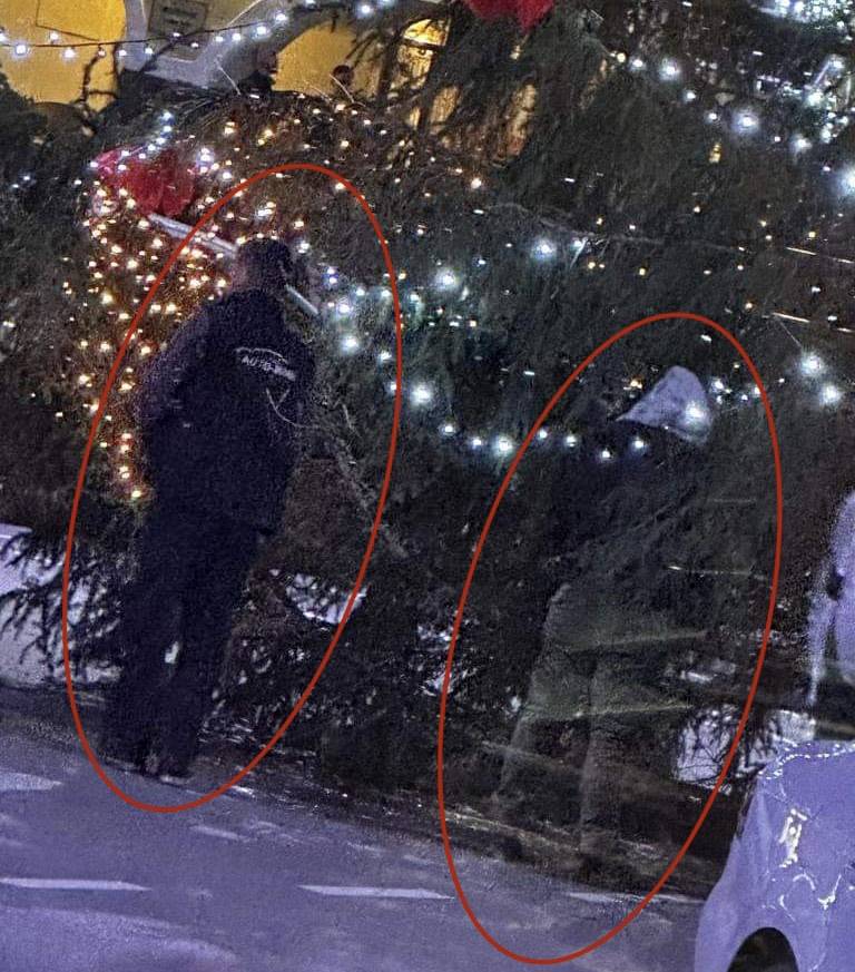 SB Online | Neviđena sramota: Urinirali po božićnom boru na Trgu Sv. Trojstva u Požegi