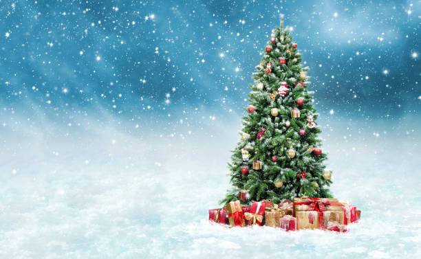 SB Online | Duga je tradicija kićenja božićnog drvca. Kako ste vi ukrasili vaša?