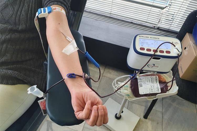 SB Online | Pogledajte kada možete dobrovoljno dati krv