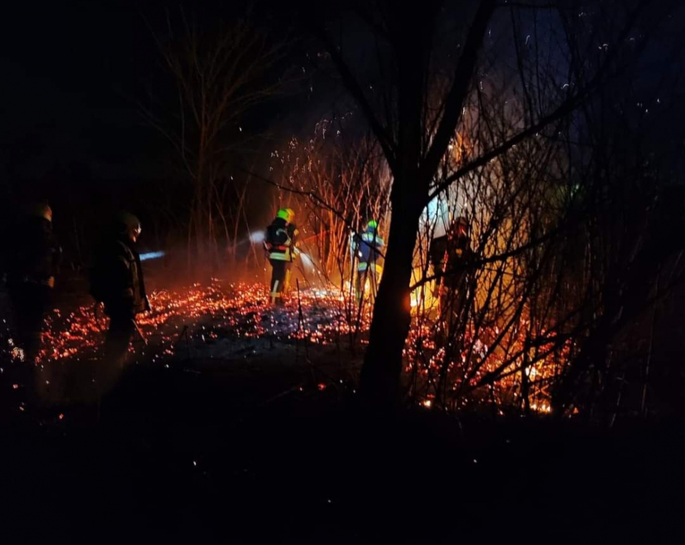 SB Online | Veliki požar u Bebrini: Vatrogasci objavili fotke