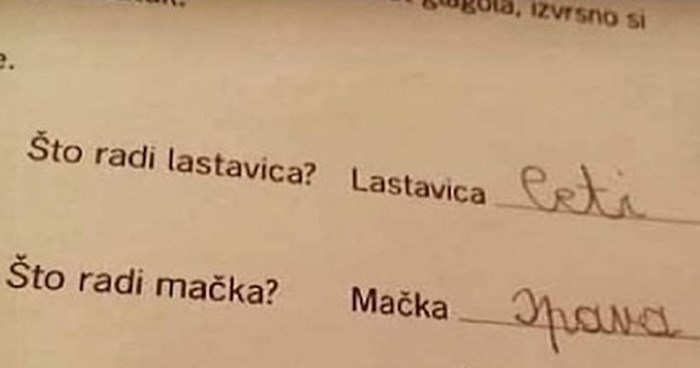 SB Online | Djeca u zadaći trebala odgovoriti na razna pitanja, iskreni odgovor dječaka nasmijat će vas do suza