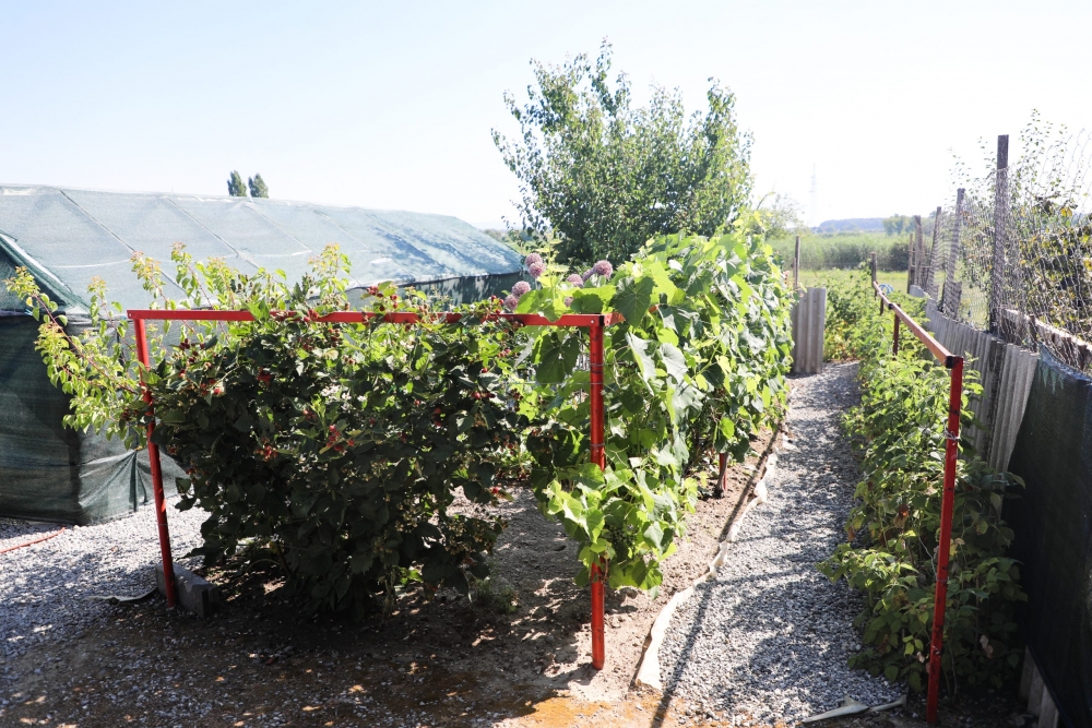 Obitelj Julke Martić osvojila nagradu za najljepšu okućnicu