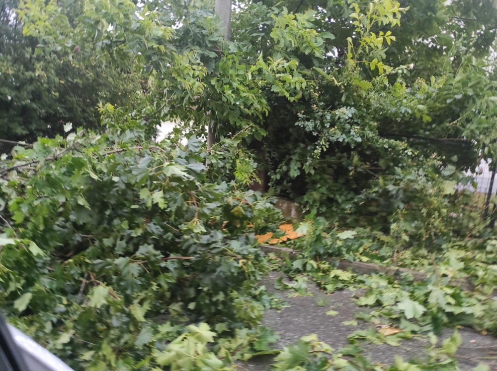 Dan kad je nebo potamnilo, a priroda pokazala svoju snagu: Dvije godine od katastrofalnog nevremena koje je pogodilo požeški i pleternički kraj