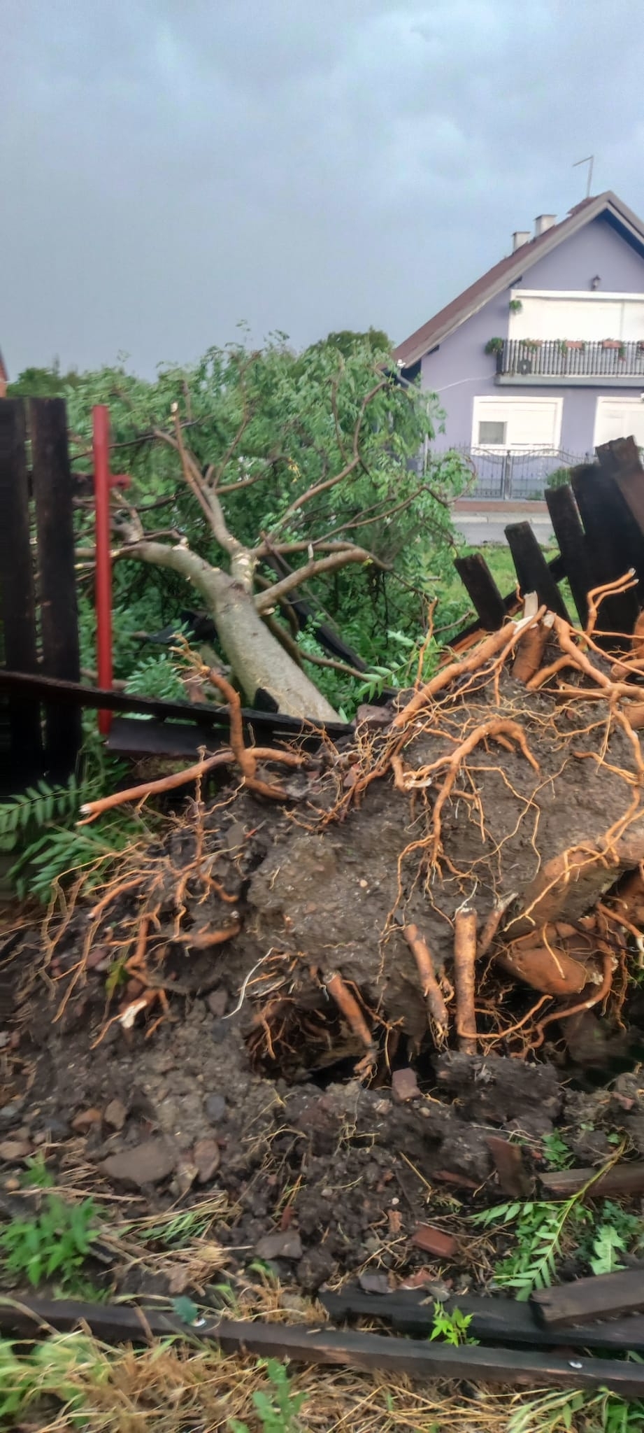 Dan kad je nebo potamnilo, a priroda pokazala svoju snagu: Dvije godine od katastrofalnog nevremena koje je pogodilo požeški i pleternički kraj