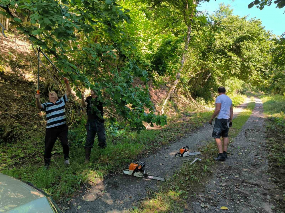 Noć pod zvijezdama: HPD ’Sokolovac’ Požega partner 16. Astro Partyja na Papuku