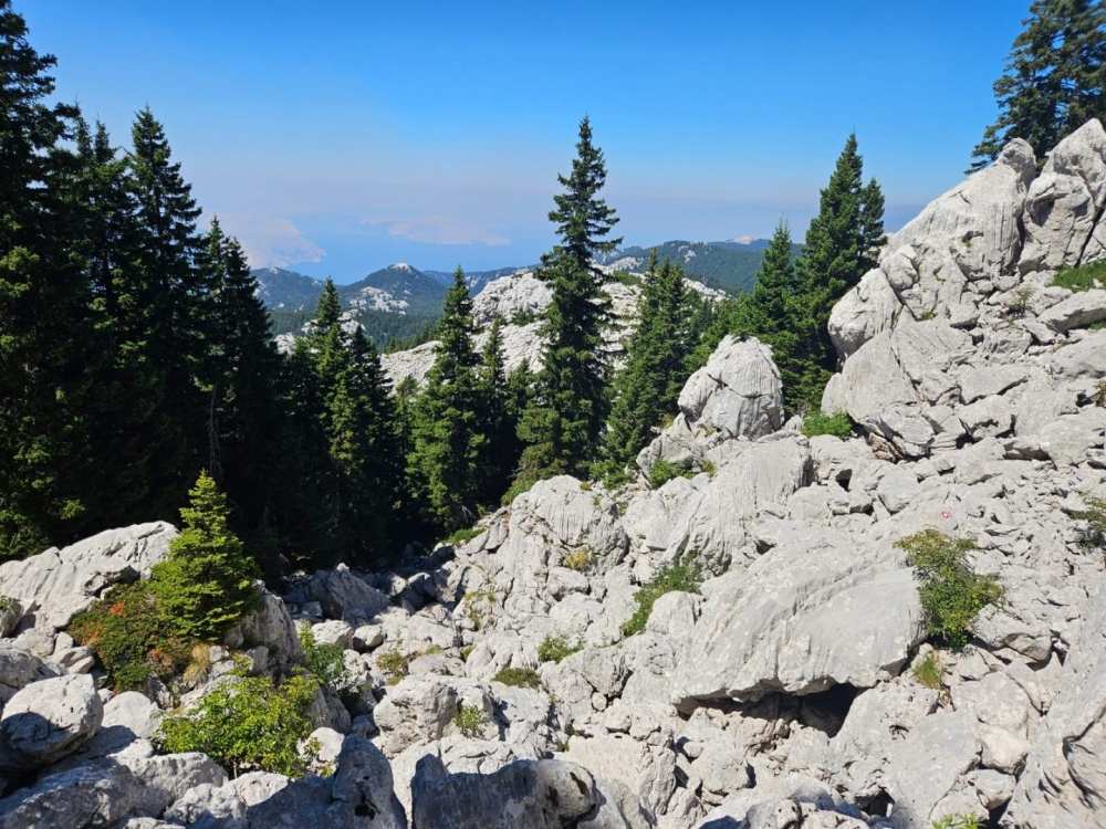 Kutjevački planinari nastavili avanture od Velebita do švicarskih Alpa
