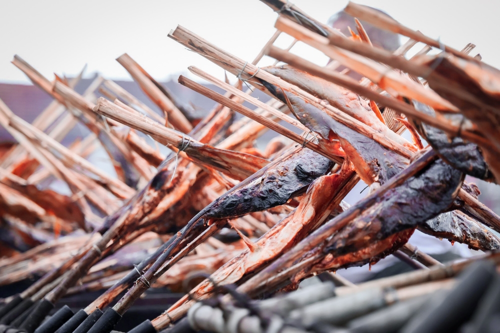 Održane 5. „Ribarske večeri“ i Fišijada u Trenkovu