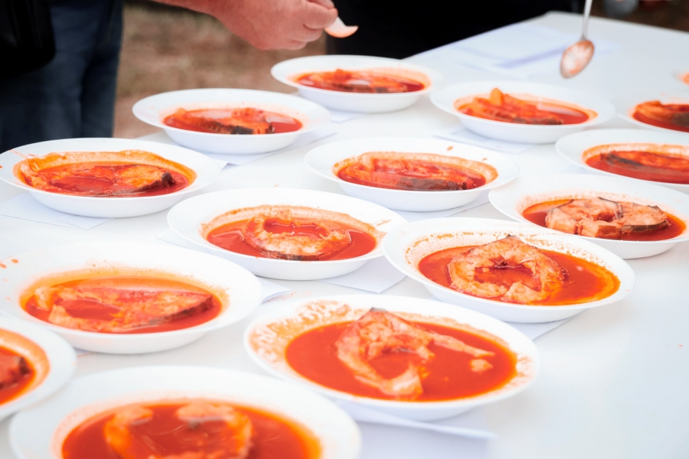 Održane 5. „Ribarske večeri“ i Fišijada u Trenkovu