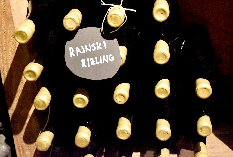 Generacijska smjena u Kutjevu: Lovro Potrebica preuzima kormilo vinarije Majetić