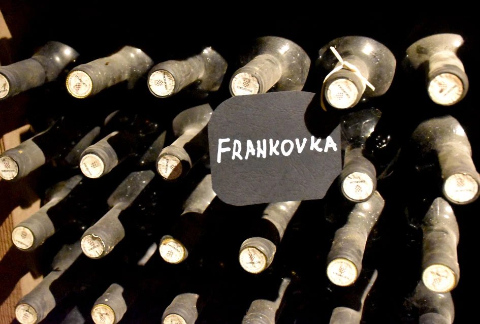 Generacijska smjena u Kutjevu: Lovro Potrebica preuzima kormilo vinarije Majetić