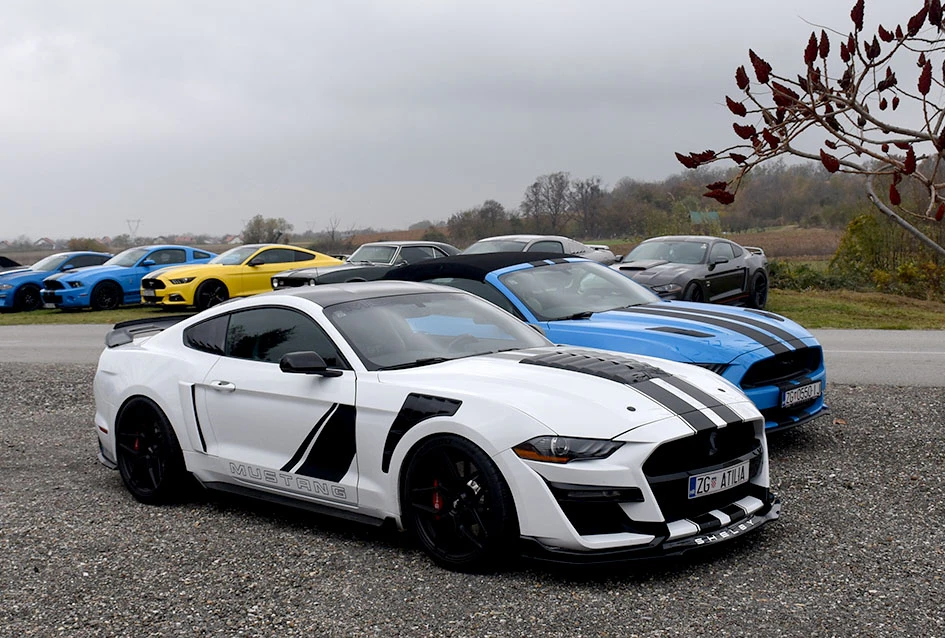 Strast, prijateljstvo i vino – Mustanzi ponovno u Kutjevu