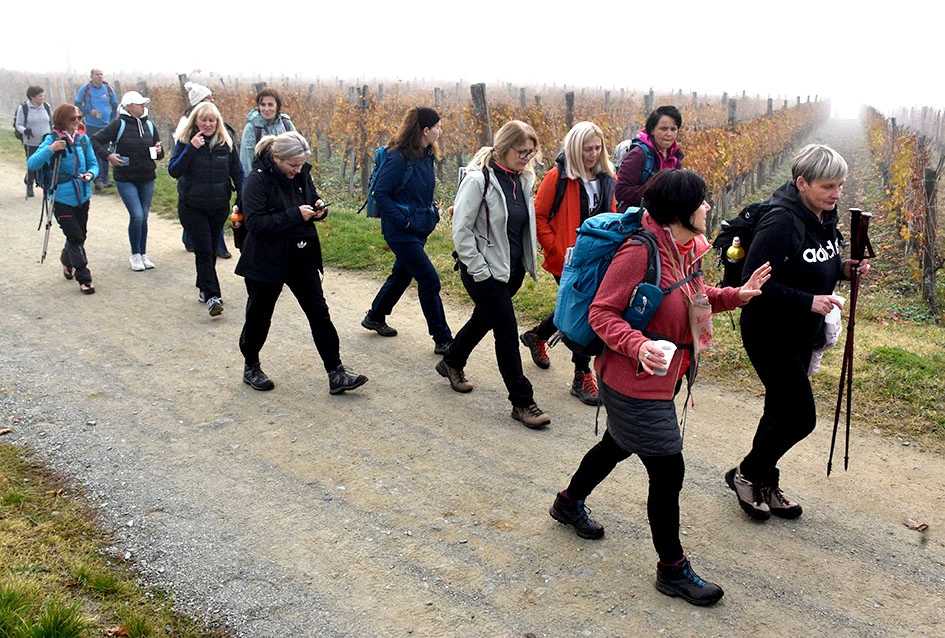 Kutjevo podiglo ljestvicu: nikad više posjetitelja na Martinju!