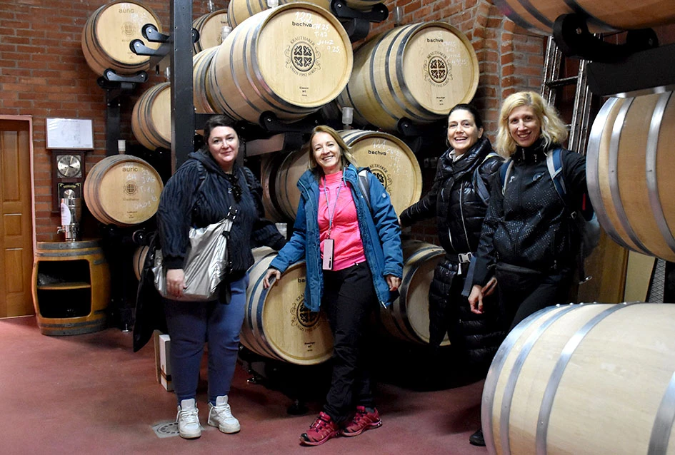 Kutjevo podiglo ljestvicu: nikad više posjetitelja na Martinju!