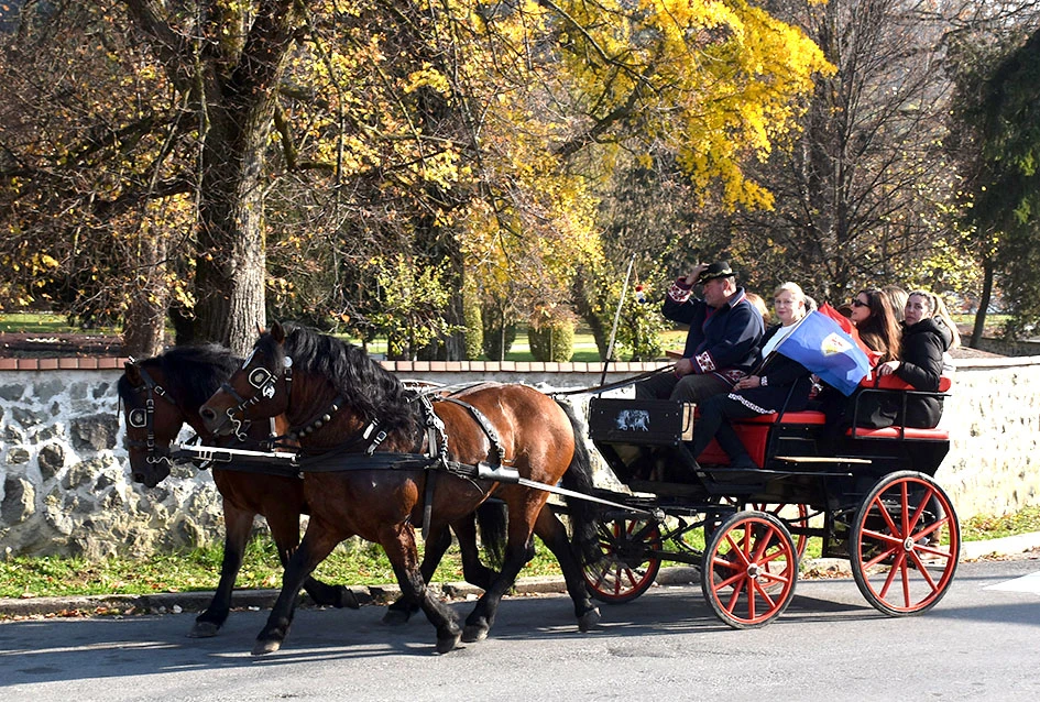Kutjevo podiglo ljestvicu: nikad više posjetitelja na Martinju!