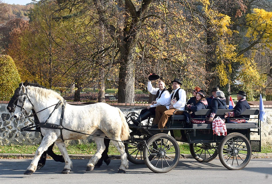 Kutjevo podiglo ljestvicu: nikad više posjetitelja na Martinju!