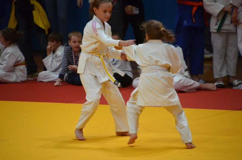 Judaši „Slavonca“ briljirali na međunarodnim turnirima u Bečeju i Zagrebu