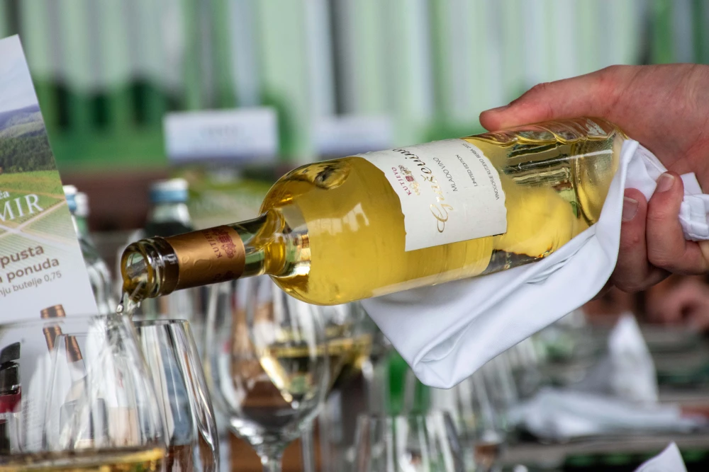 VINARIJA KUTJEVO- VRIJEME JE ZA MLADU GRAŠEVINU