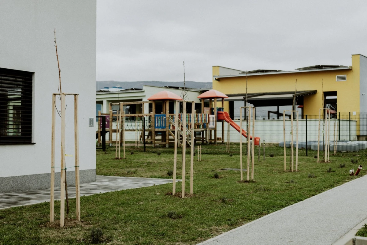 Novi dah održivosti u Kutjevu: Zasađene sadnice javora u sklopu nacionalnog projekta