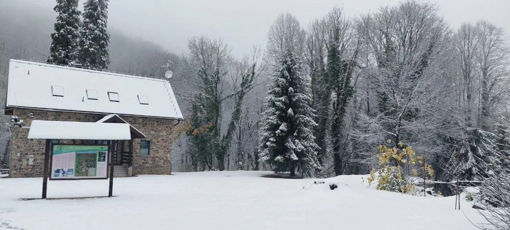 Zimska idila na Jankovcu: Bijeg u snježnu čaroliju Papuka