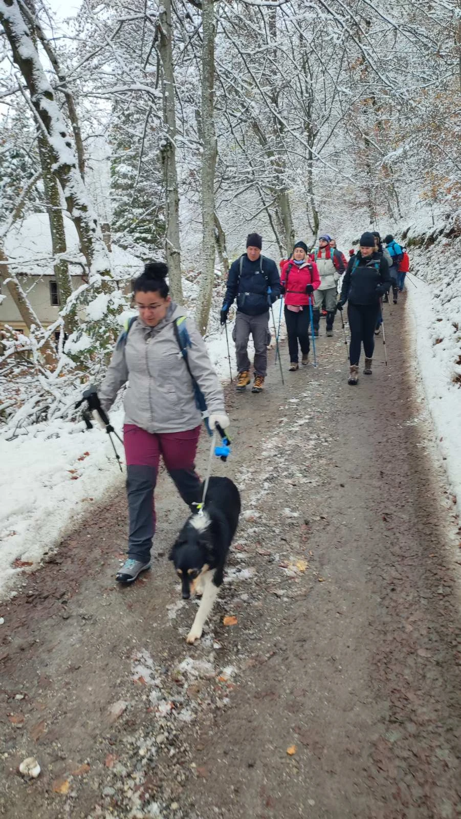 Zdravko Matičević predvodio planinare požeškog Sokolovca u pohodu na najviši vrh Slavonije