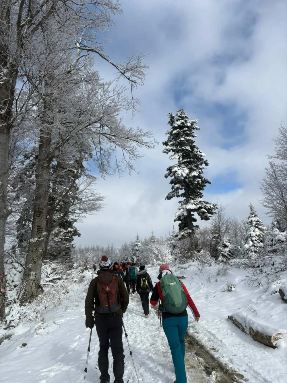 Zdravko Matičević predvodio planinare požeškog Sokolovca u pohodu na najviši vrh Slavonije