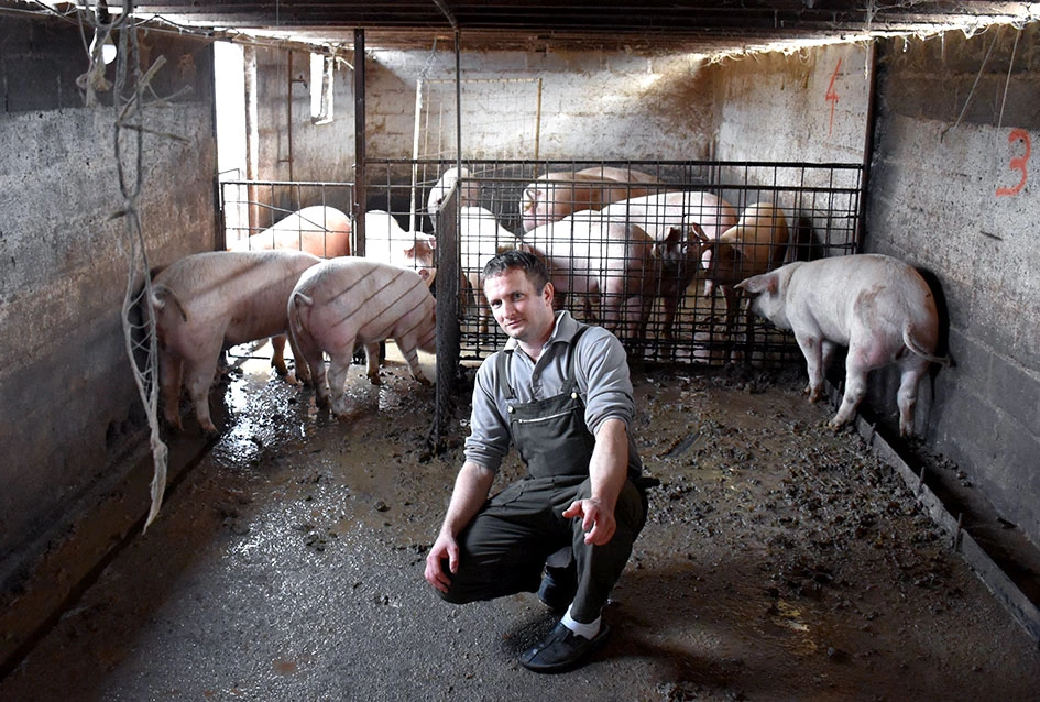 Pjesma, posao i kulen: Jedinstveni ugođaj kolinja kod Ladislava Waltera iz Trenkova