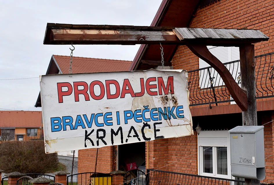 Pjesma, posao i kulen: Jedinstveni ugođaj kolinja kod Ladislava Waltera iz Trenkova