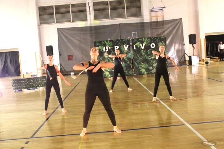 Pleterničke mažoretkinje održale božićnu priredbu