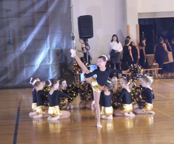 Pleterničke mažoretkinje održale božićnu priredbu