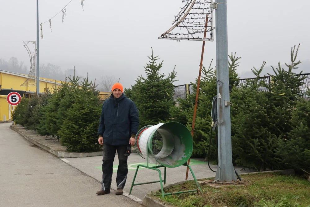 Obitelj Štimac prodaje tri vrste božićnih drvaca na dvije požeške lokacije