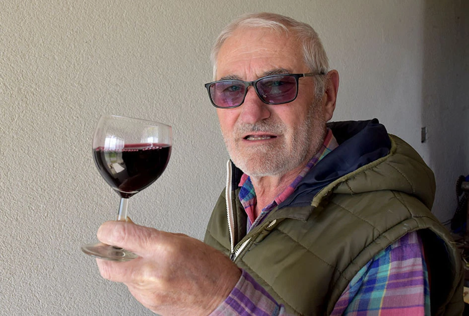 Spoj iskustva i mladenačke vizije: Obitelj Ostojić iz Drage gradi vinsku budućnost na obroncima Papuka