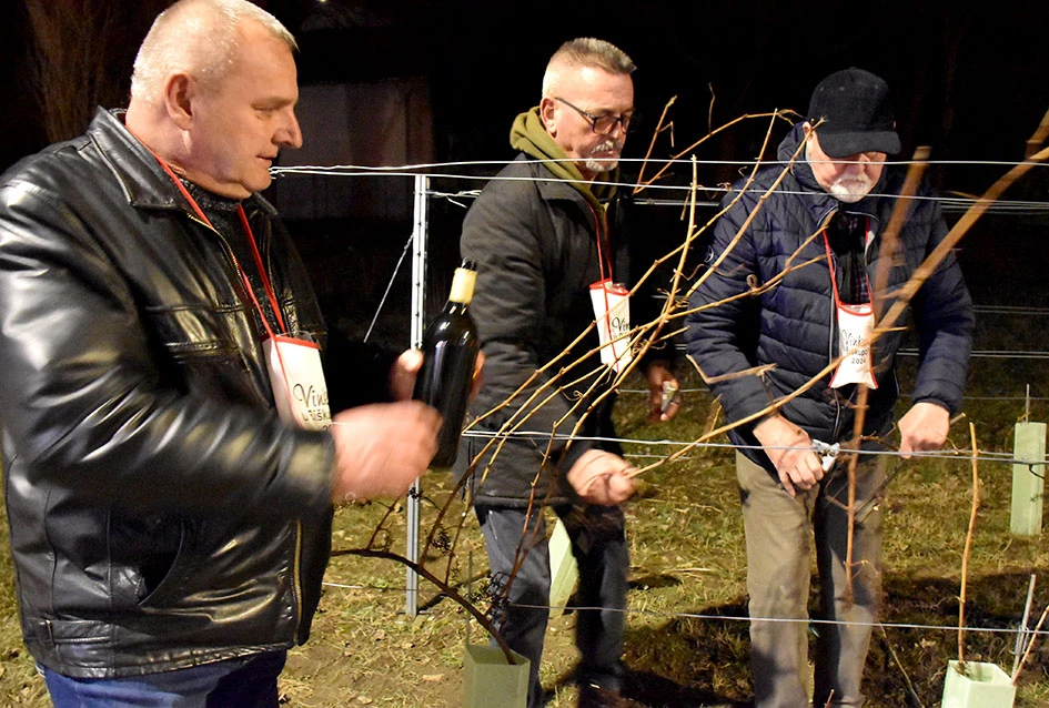 Biškupci spremni za 6. ’Vincelovo’: Očekuje se rekordan broj posjetitelja uz vrhunsku gastro ponudu i Aurea bend