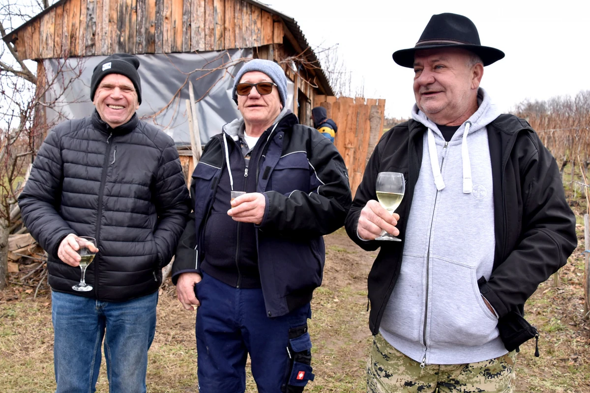 TRADICIJA NA VINKOMIRU: Proslava Vincelova u vinogradu obitelji Majstorović