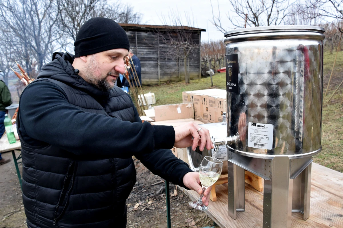 TRADICIJA NA VINKOMIRU: Proslava Vincelova u vinogradu obitelji Majstorović