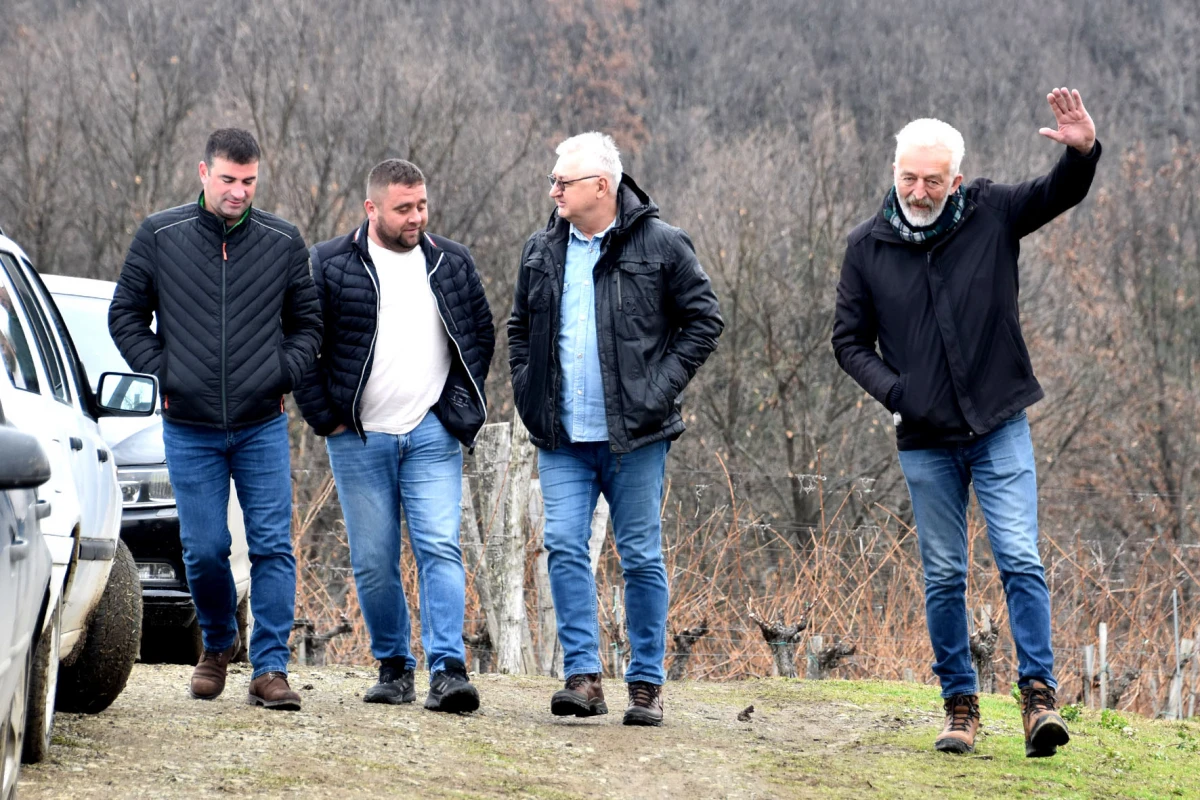 TRADICIJA NA VINKOMIRU: Proslava Vincelova u vinogradu obitelji Majstorović