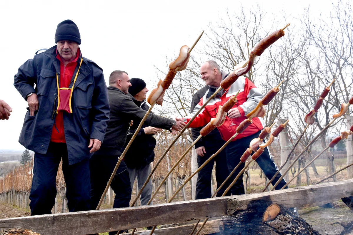 TRADICIJA NA VINKOMIRU: Proslava Vincelova u vinogradu obitelji Majstorović