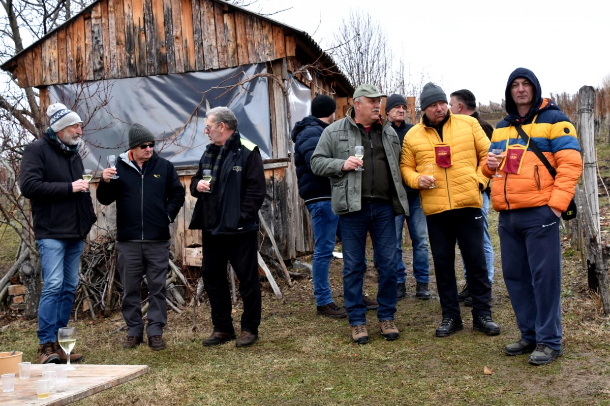 TRADICIJA NA VINKOMIRU: Proslava Vincelova u vinogradu obitelji Majstorović