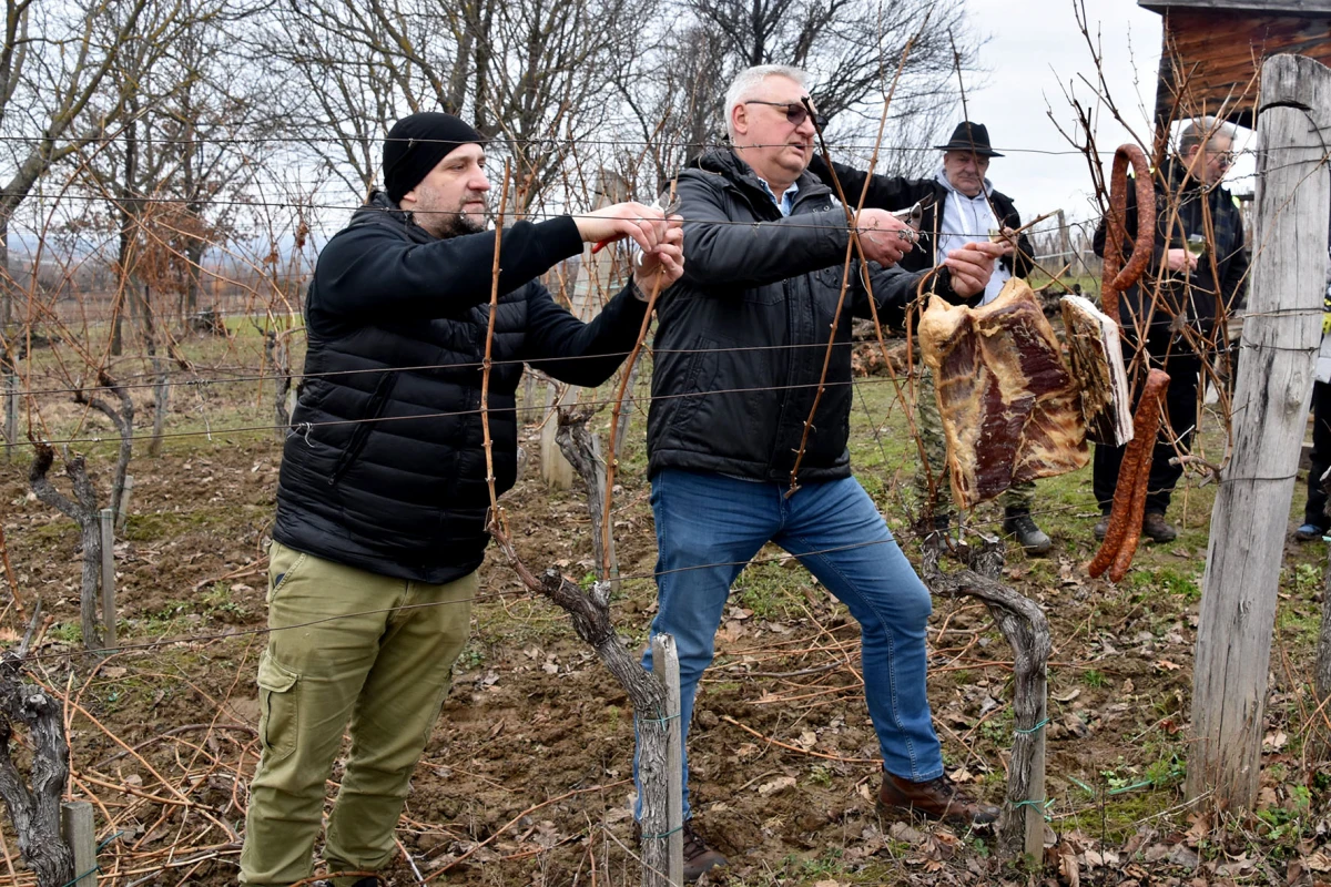 TRADICIJA NA VINKOMIRU: Proslava Vincelova u vinogradu obitelji Majstorović
